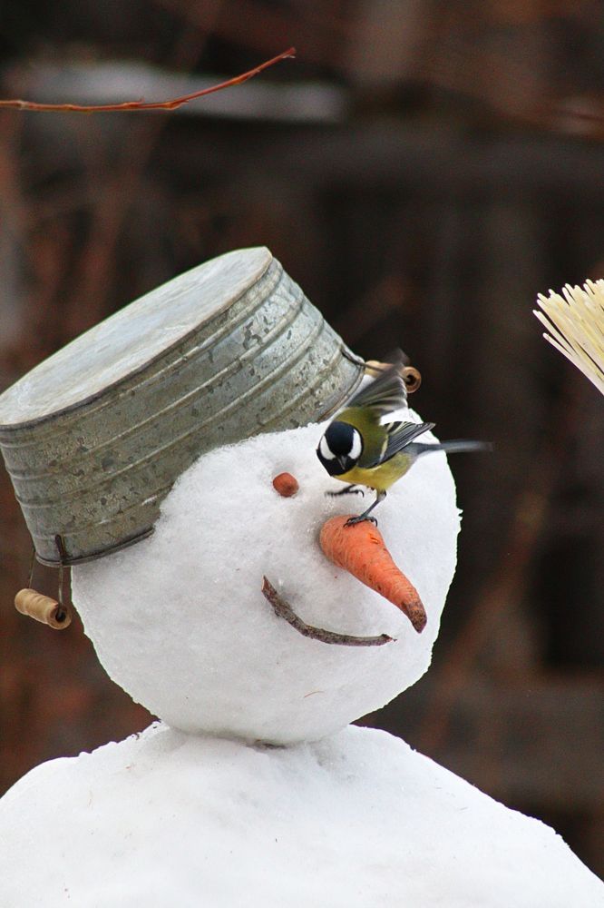 Photograph by Вероника Герасимова