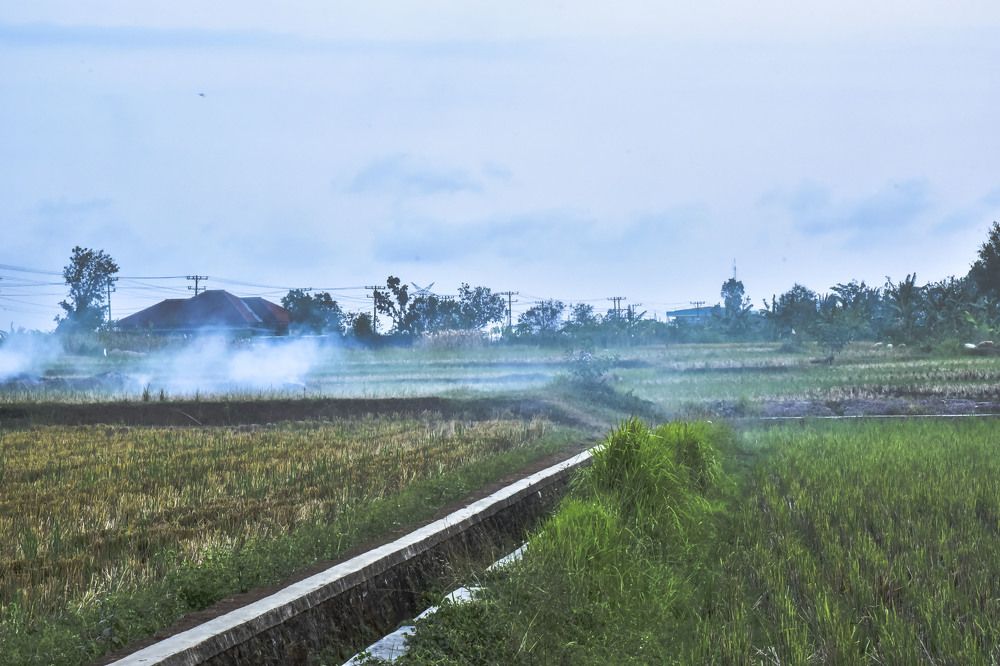 Photograph by Pujo Cahyono