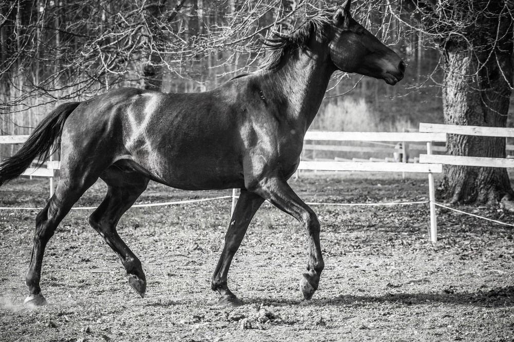 Фотография автора Aлексей Игнатьев