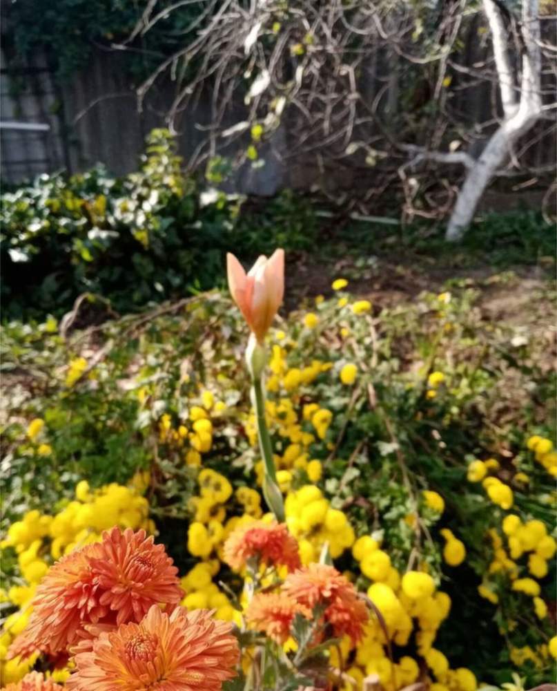 Photograph by Надежда Чаплынская