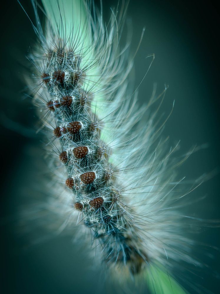 Photograph by Константин Яковлев