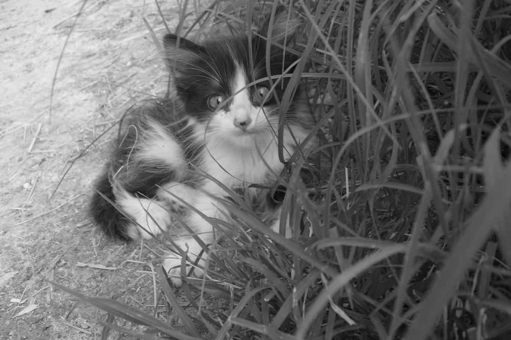 Photograph by Эдик Нуран