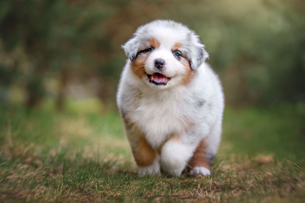 Фотография автора Оксана Серова