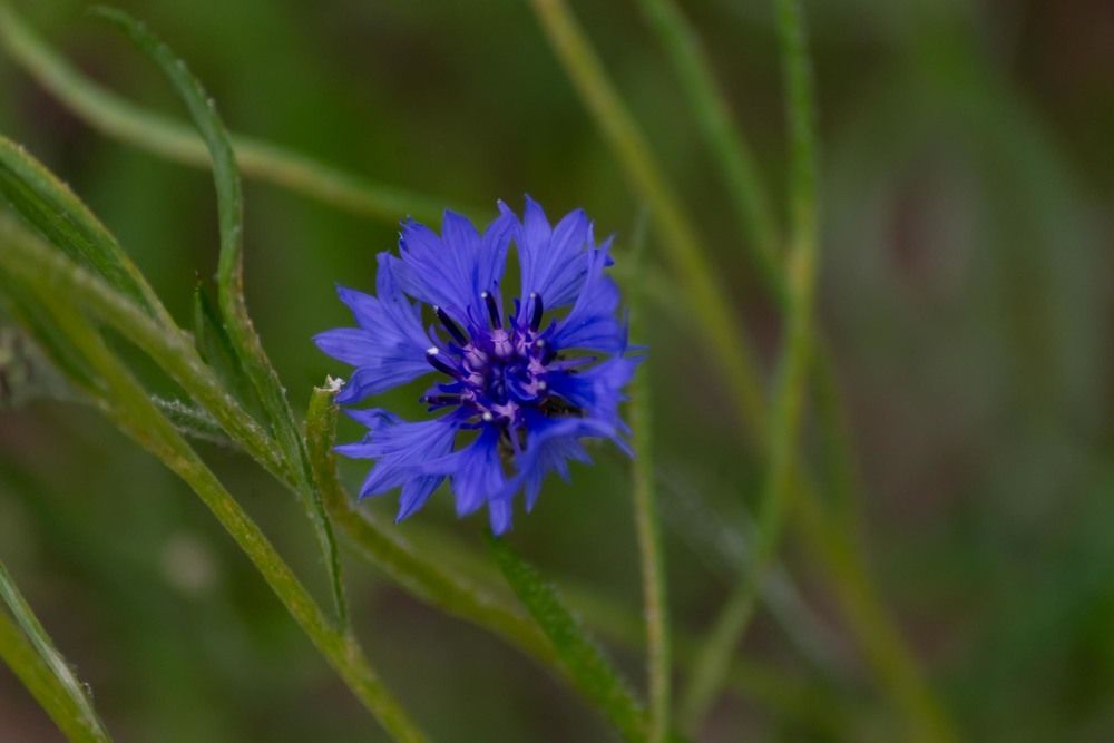 Фотография автора Aлексей Игнатьев