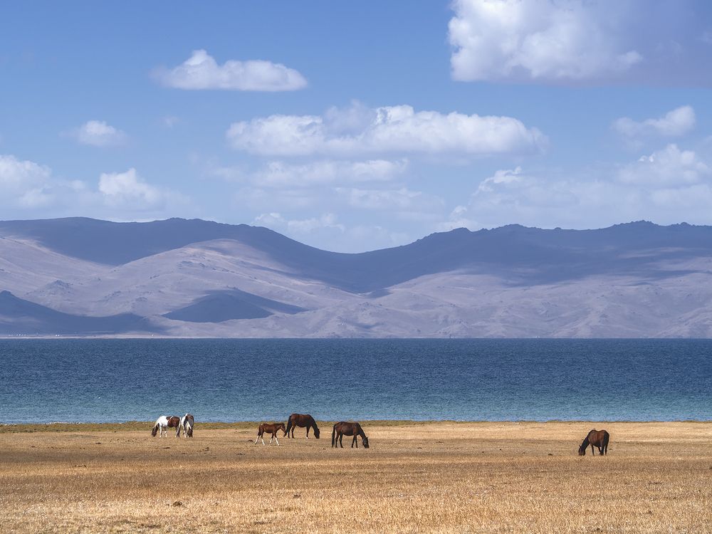 Озеро Сонкуль