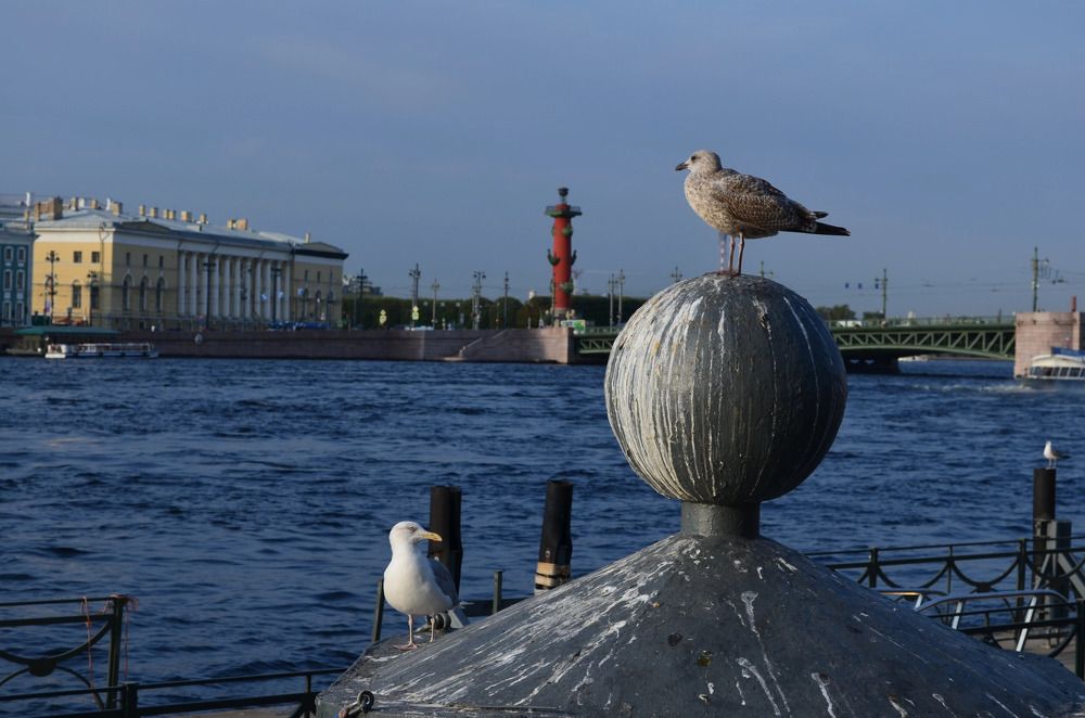 Photograph by Дмитрий Забурдаев