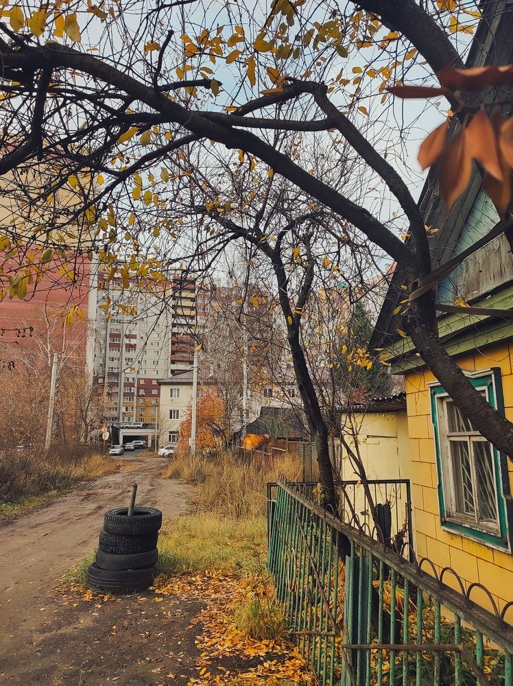 Фотография автора Анастасия Анисова