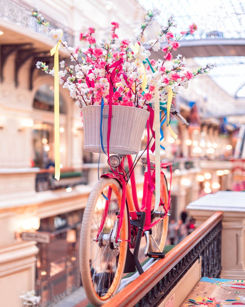 Фотография автора Анастасия Мазурева