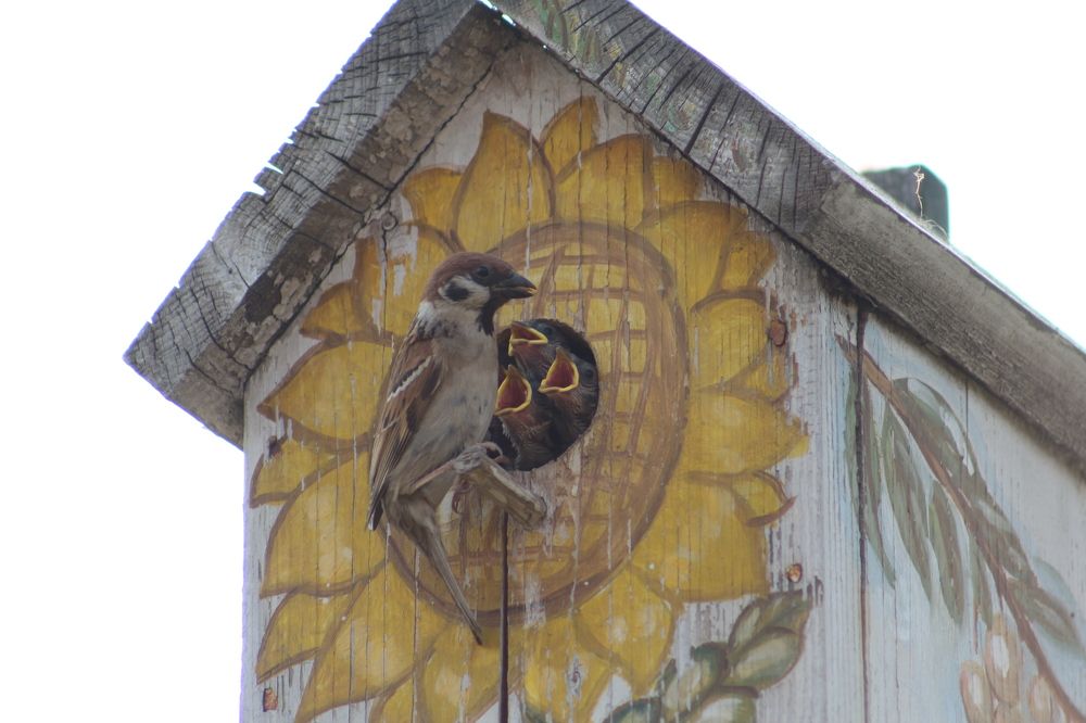 Photograph by Наталья Горбачева