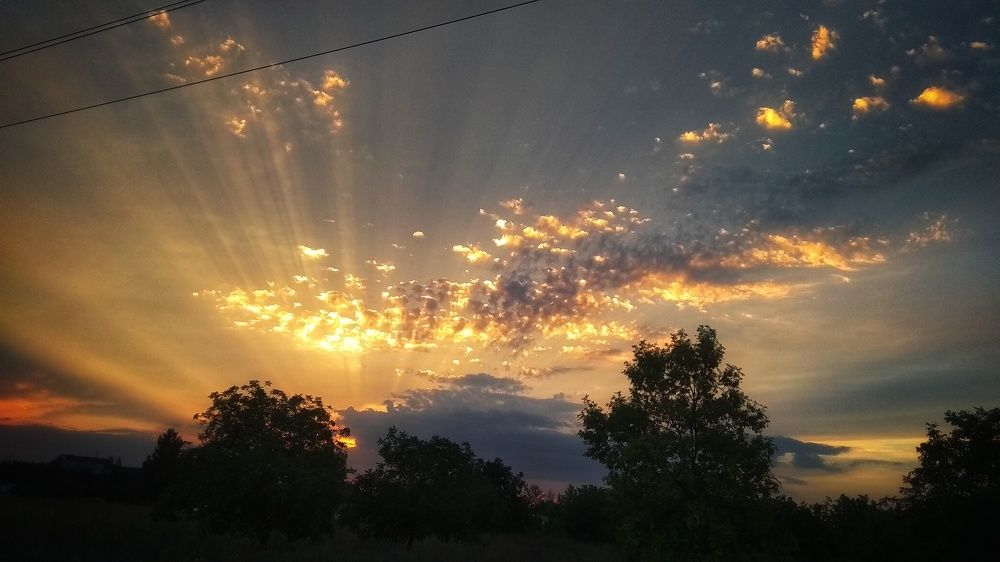 Photograph by Светлана Безъязычная