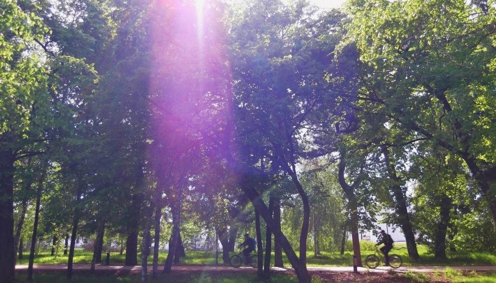 Photograph by Natasha Kim