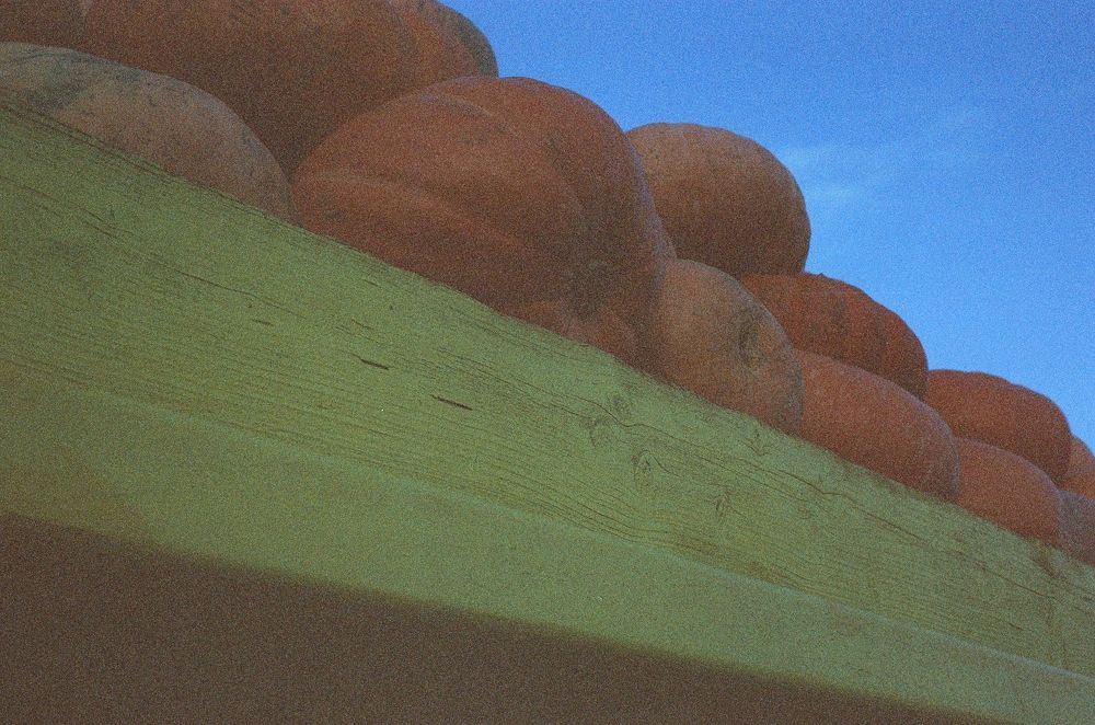 Photograph by Аля Фриссон