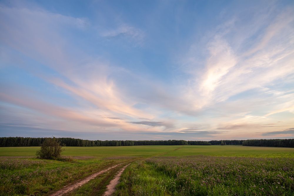 Photograph by Евгений Москвин