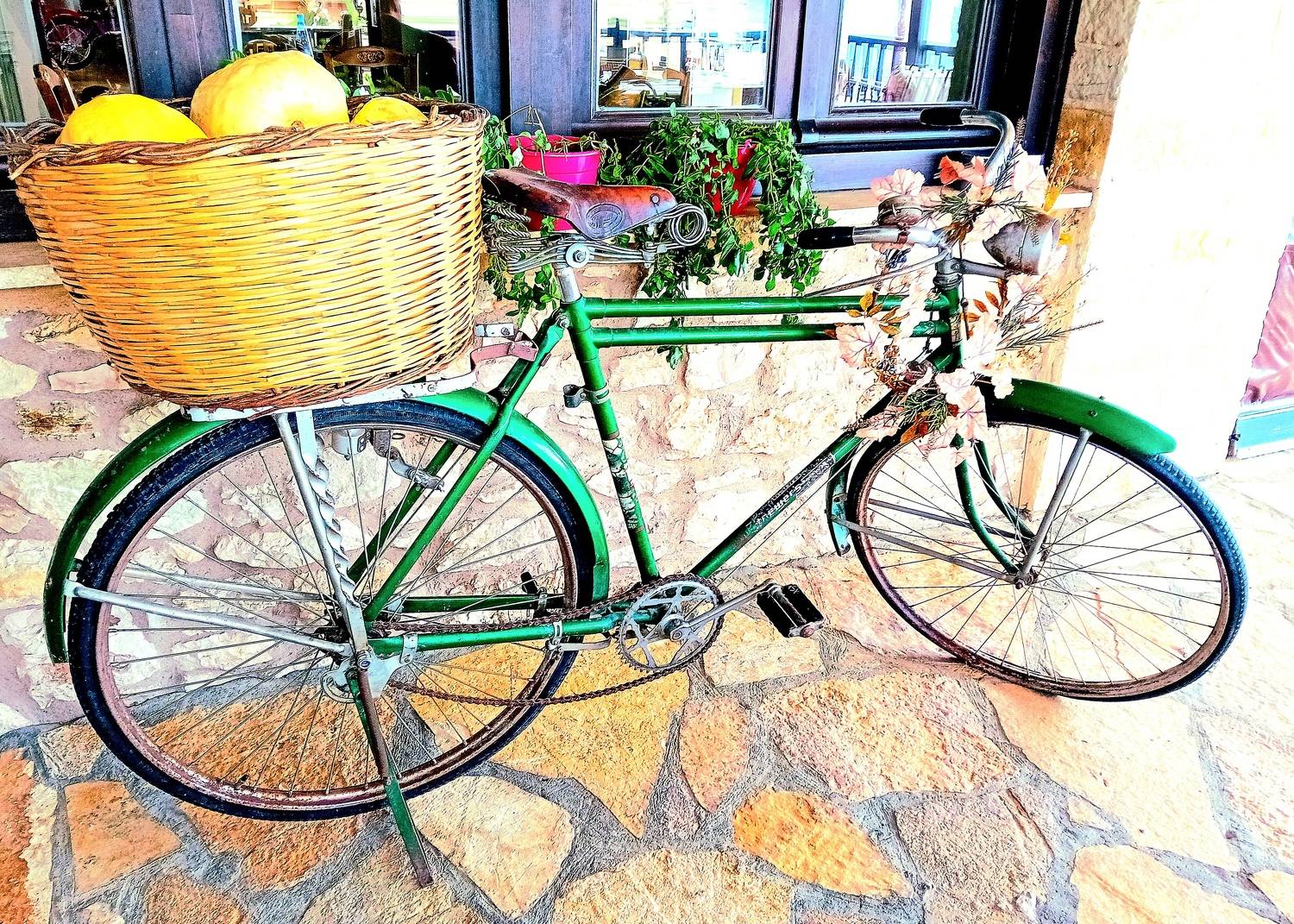 The green bicycle