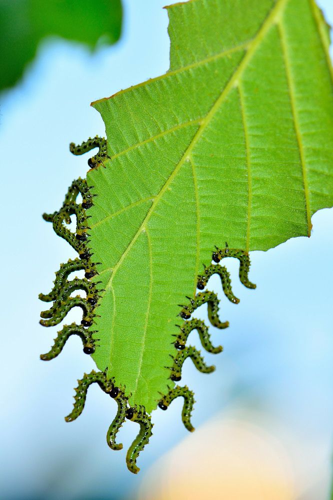 Photograph by Margarita