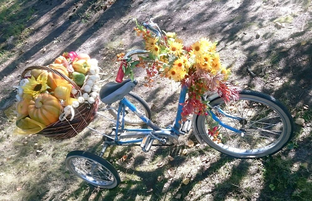 Осенняя велопрогулка