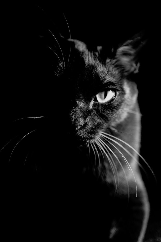 Photograph by Аля Фриссон