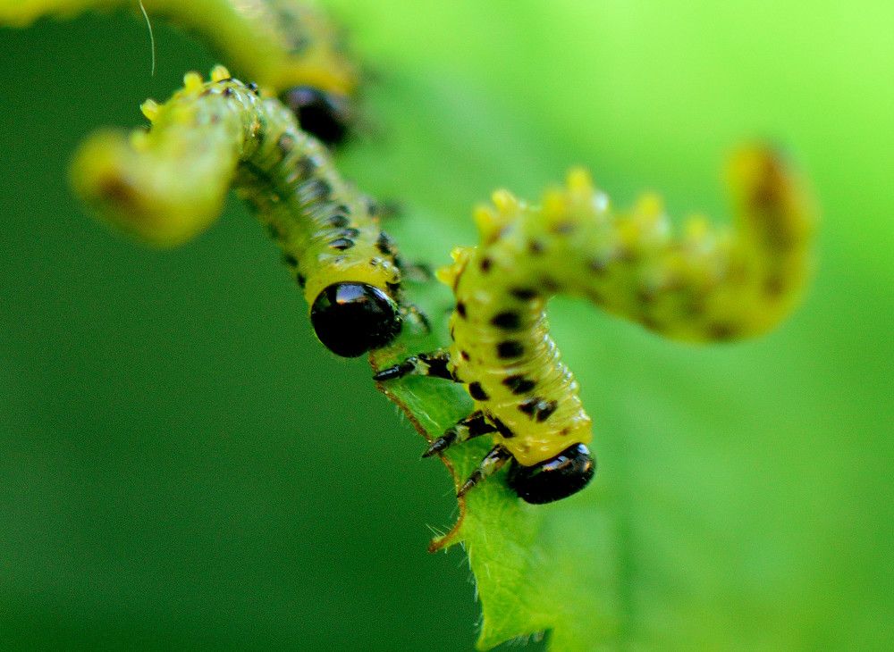 Photograph by Margarita