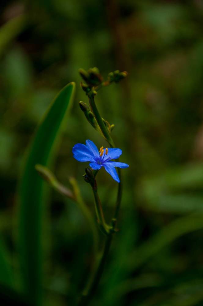 Photograph by Chamara Sulakkhana Polwatta Siriyalage