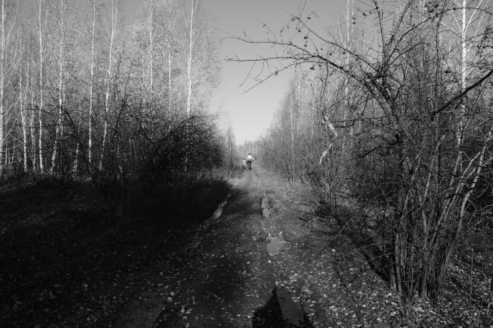 Photograph by Артём Воронин