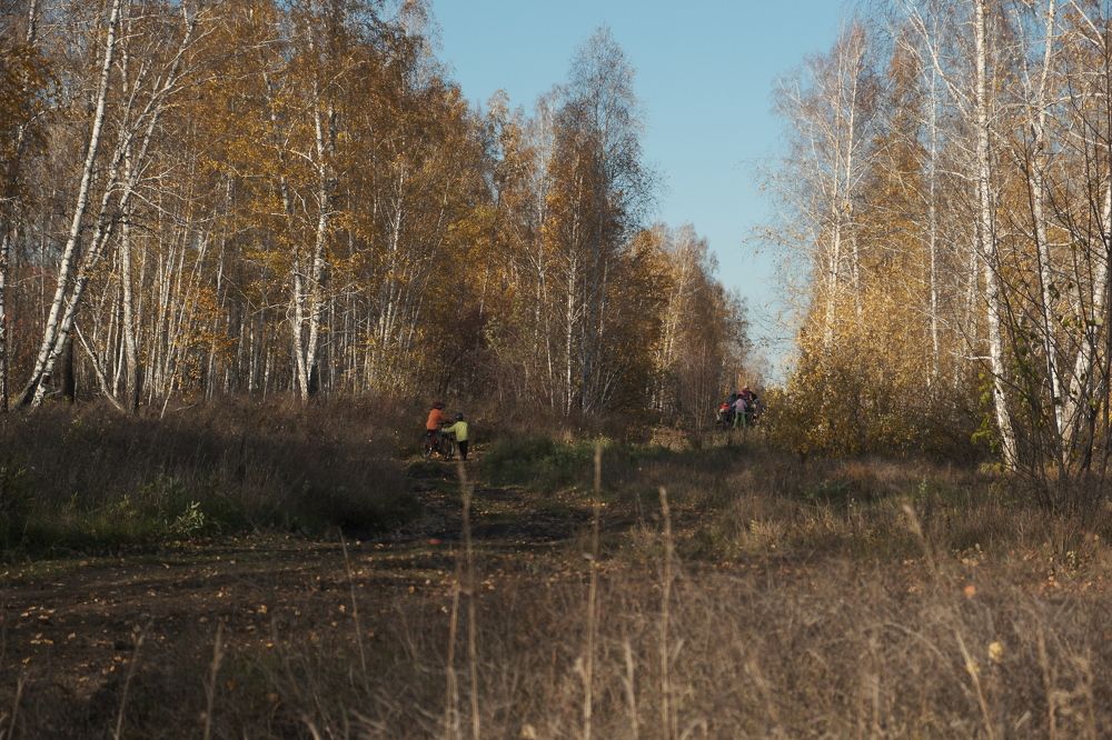 Photograph by Артём Воронин