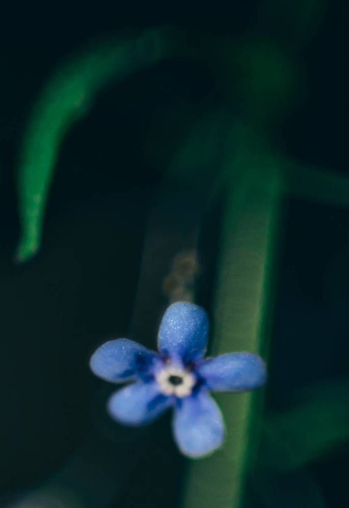 Photograph by Elena Kilina