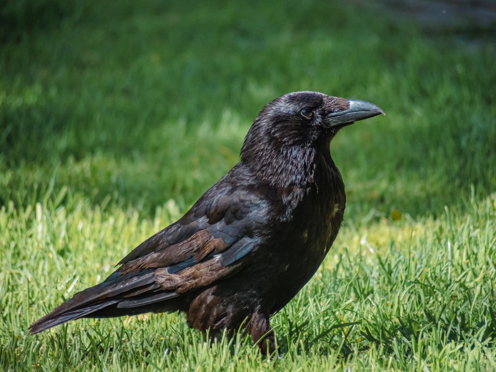 Photograph by Ирина Протченко