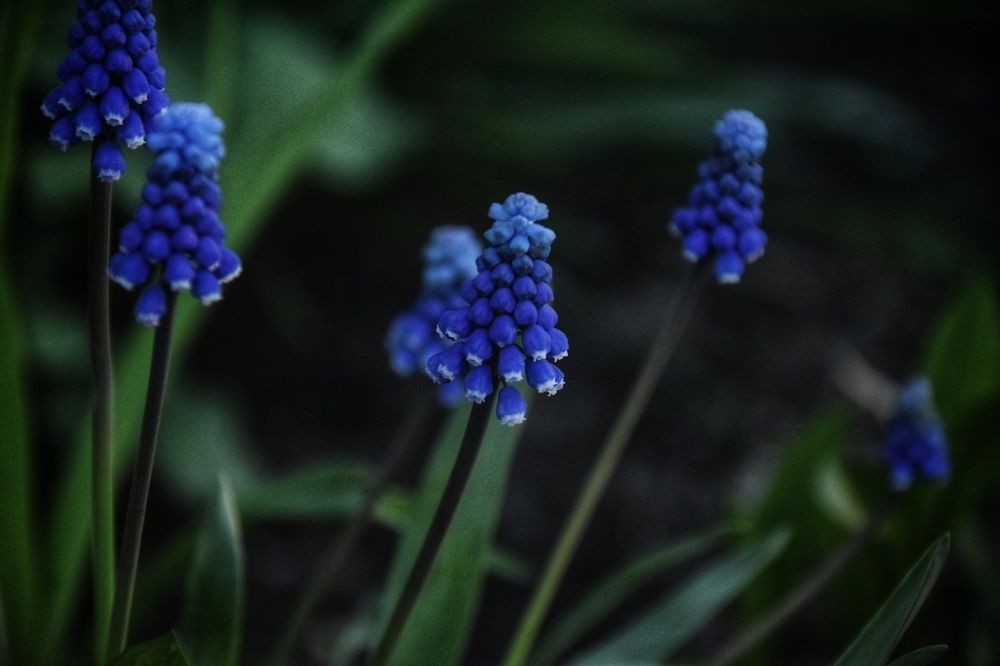 Photograph by Митюшкова Алёна