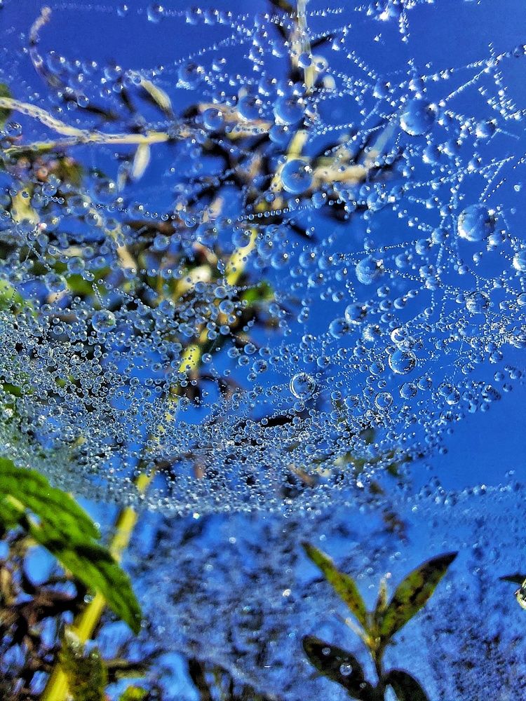 Photograph by Ксения Цветкова