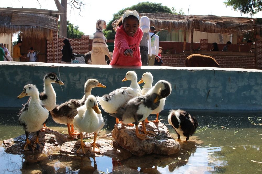 Photograph by Heba Ahmed