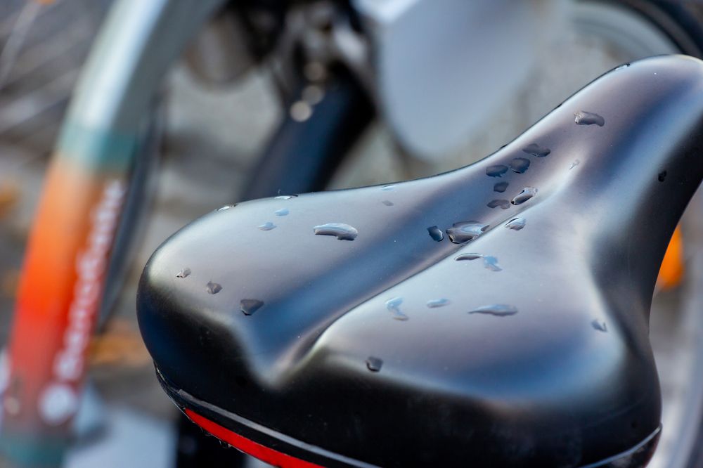 Photograph by Елена Барышева