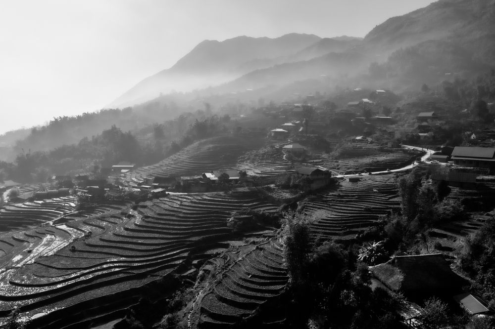 Photograph by Hoai Anh Dang