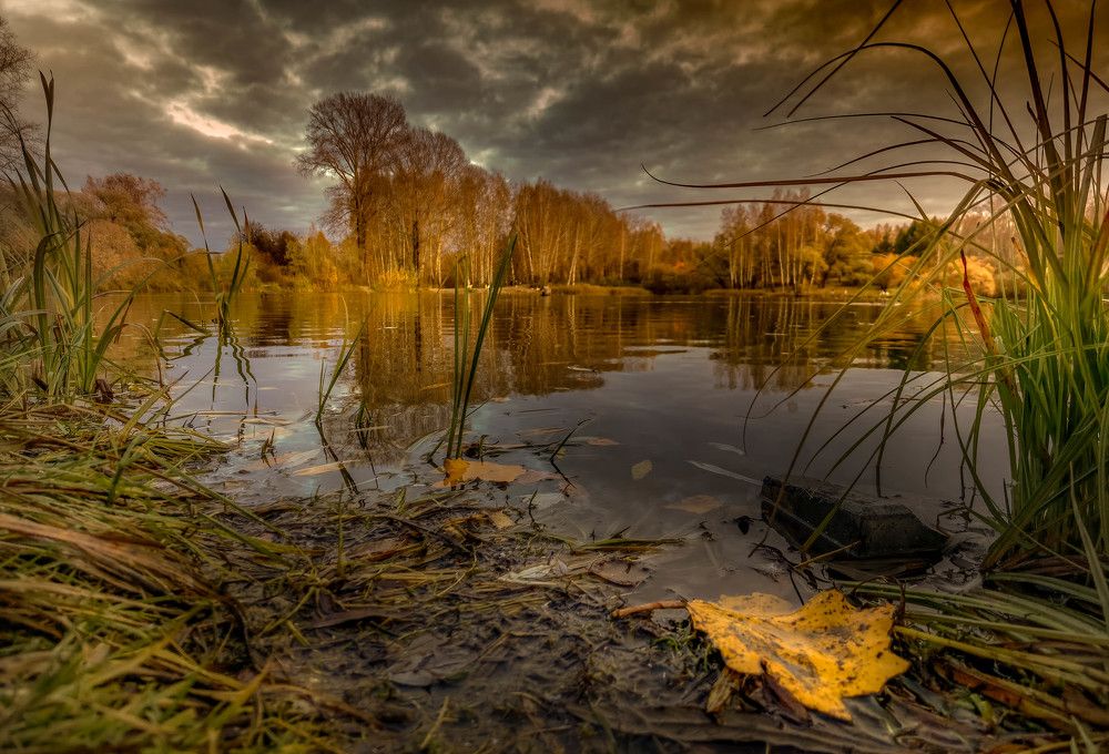 Photograph by Александр Разумов