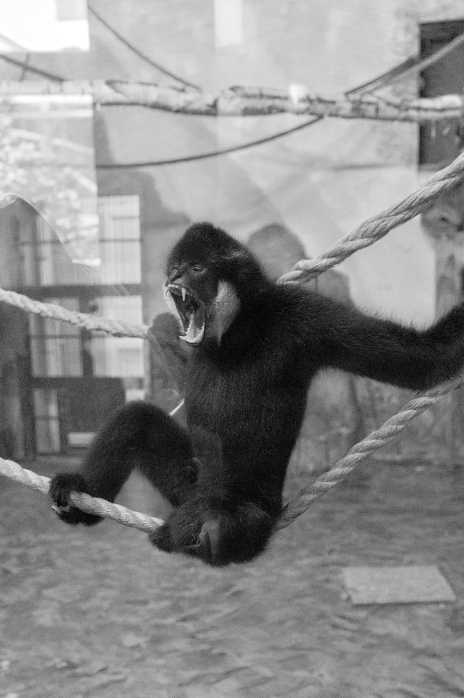 Photograph by Павлушина Ольга