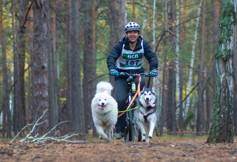 Photograph by Сергей Хранитель