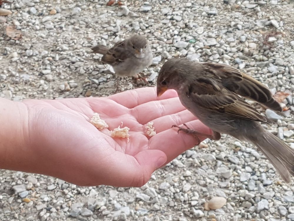 Photograph by Catherine Walter-Prêtre