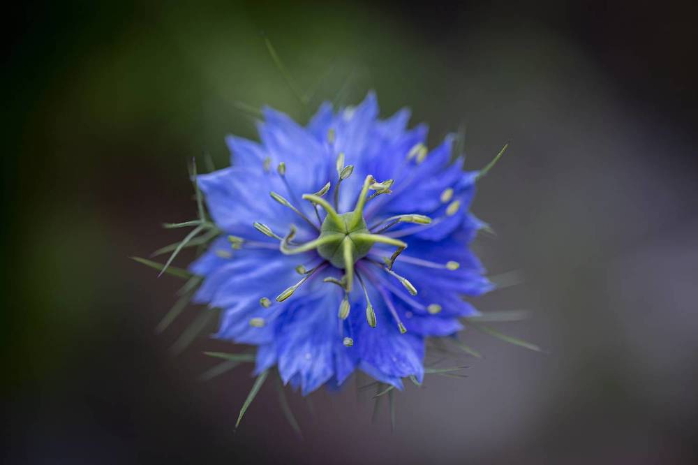 Photograph by Касьянова Ольга