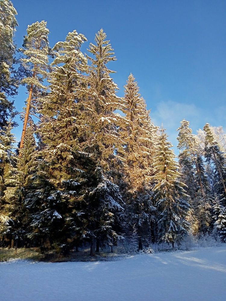 Photograph by Маришка Иванова