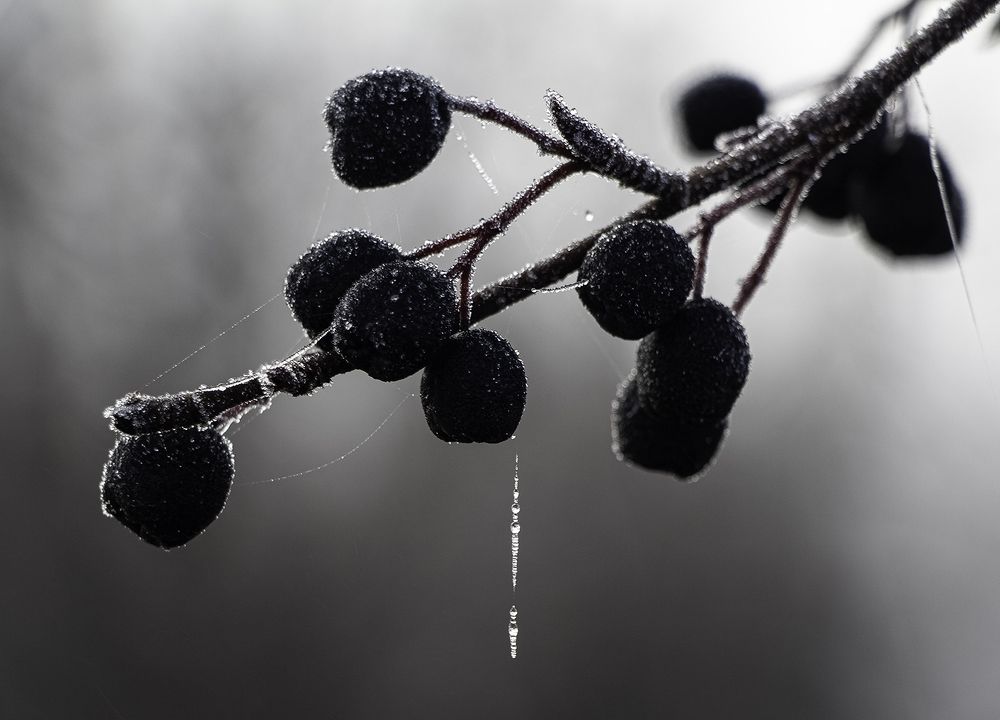 Photograph by Марианна Бессонова