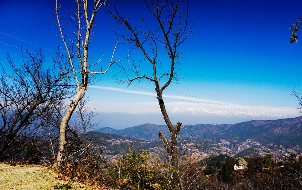 Фотография автора savitri Rawat