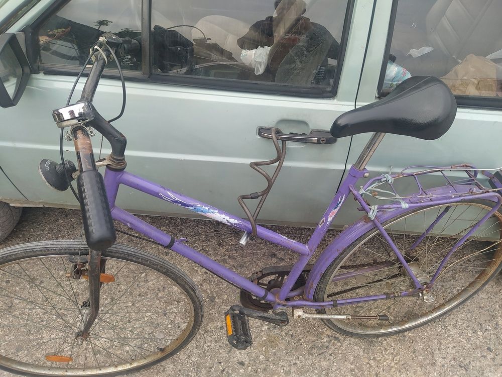 Photograph by Dragoslav Macanović