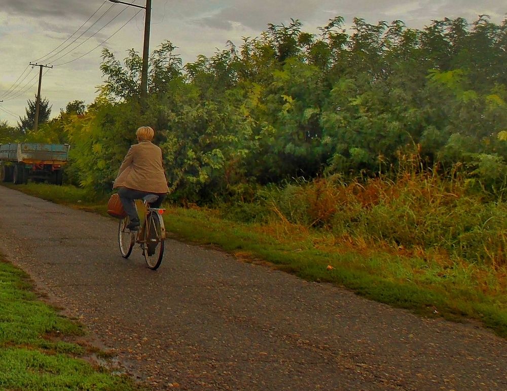 Photograph by Dragoslav Macanović