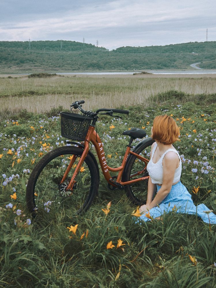 Солнечность