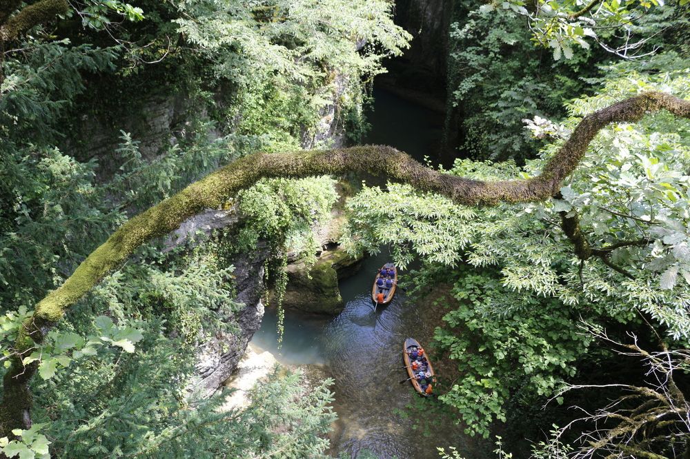 Фотография автора Mariami Sanishvili