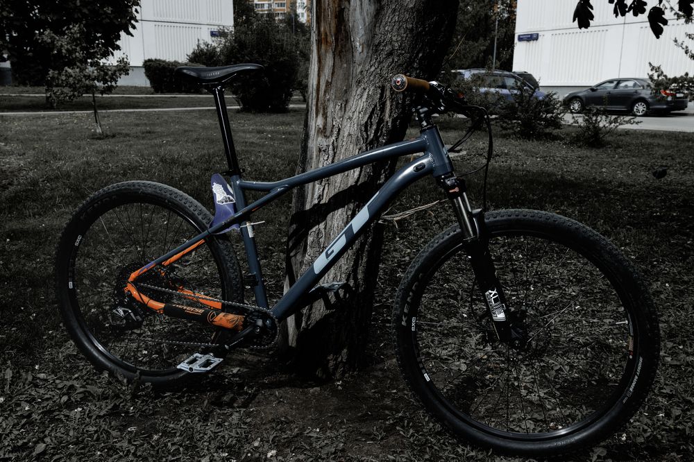 Photograph by Ivan Majors