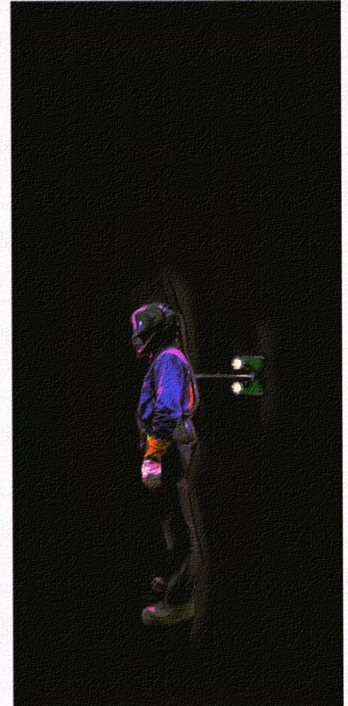 Photograph by Darko Milojevic