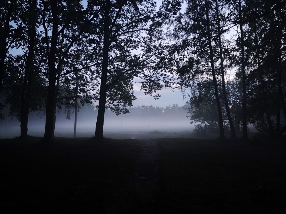 Photograph by Дмитрий Фетисов