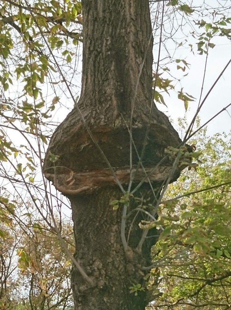 Photograph by Надюля Надина