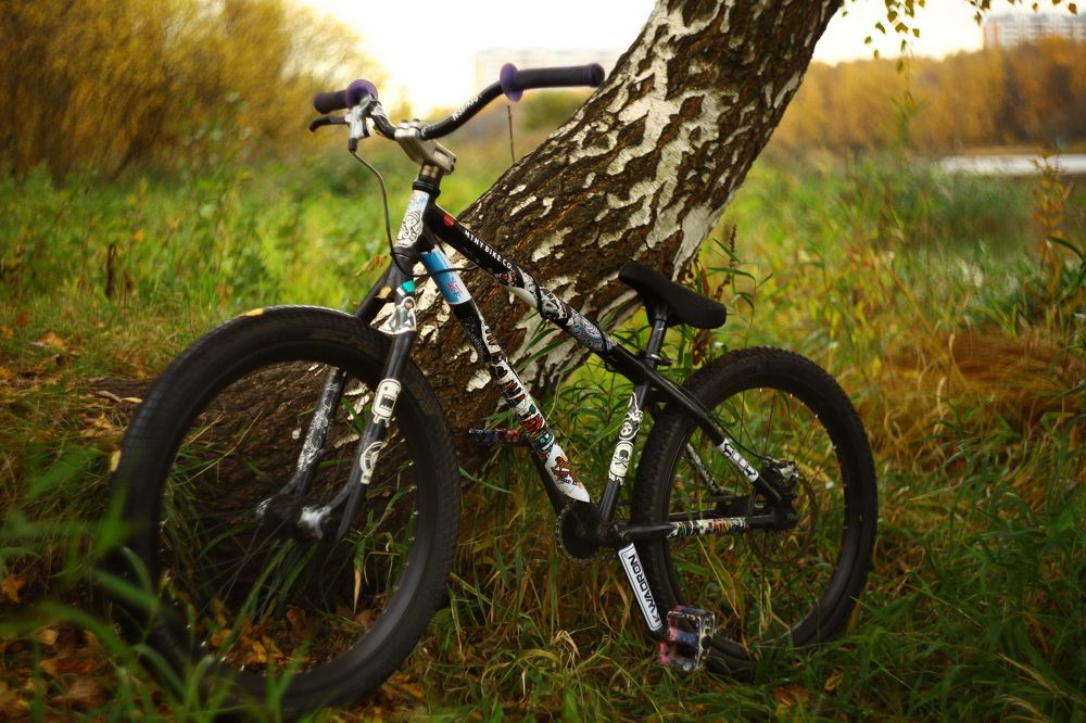 Photograph by Milla Luca