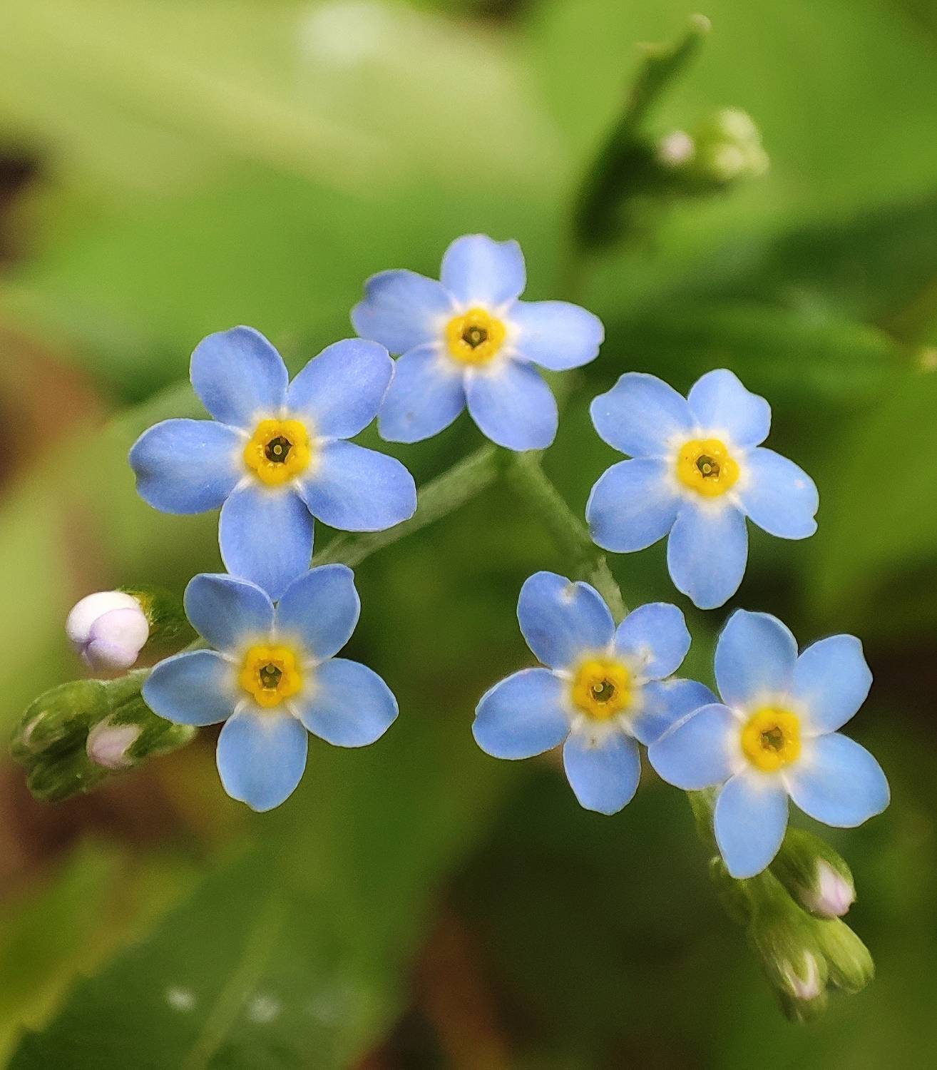 Фотография #11323388